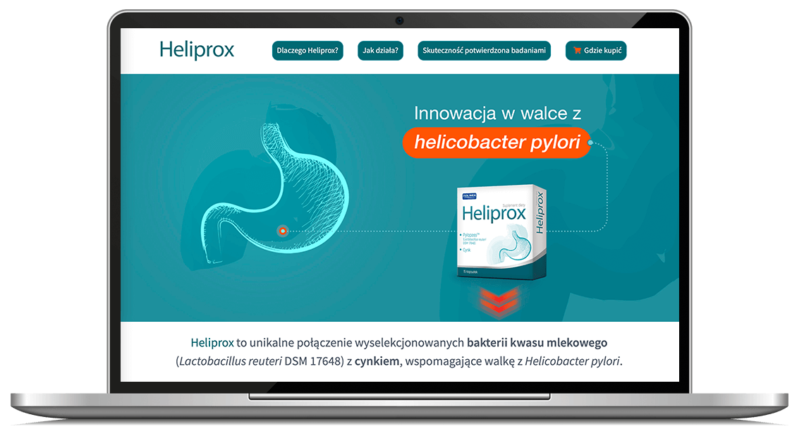 Projekt strony internetowej heliprox